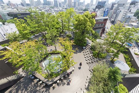 大きい公園 東京: 都市の緑と人々の憩い